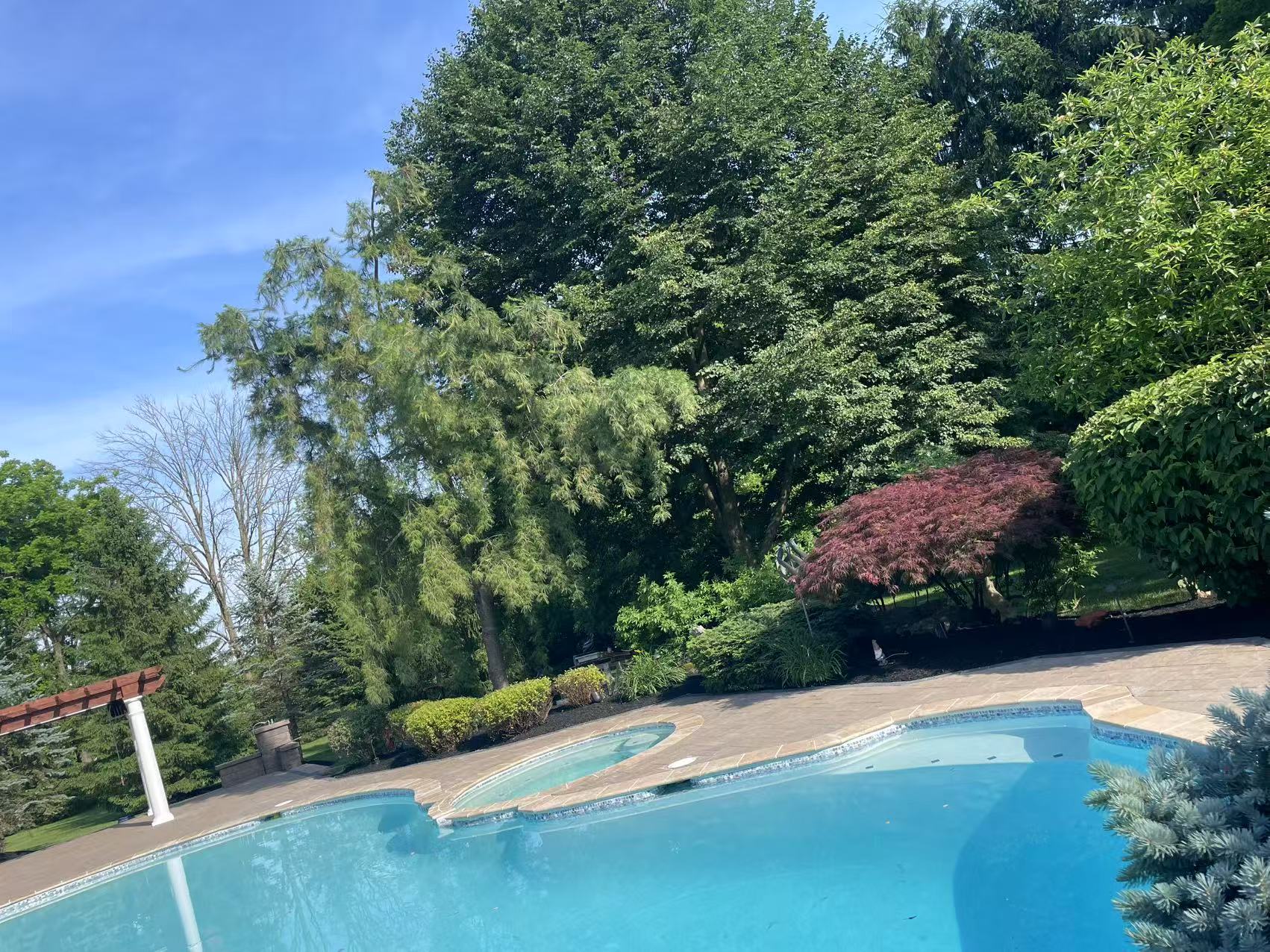Pool area landscaping with mature trees and professional design
